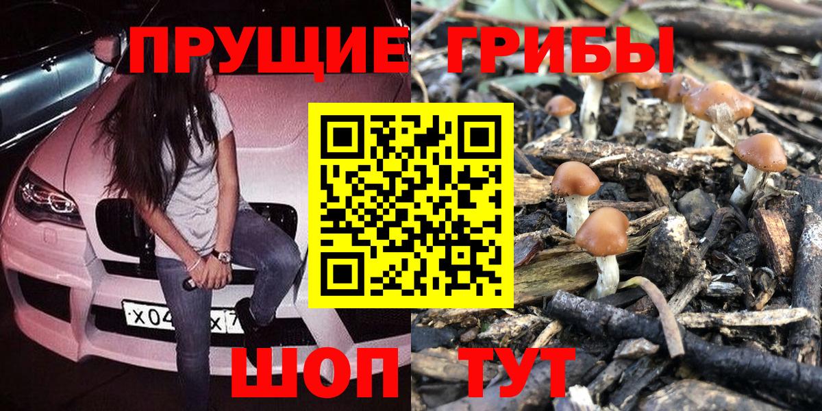 Томск  Псилоцибиновые грибы мицелий  Вход с VPN 